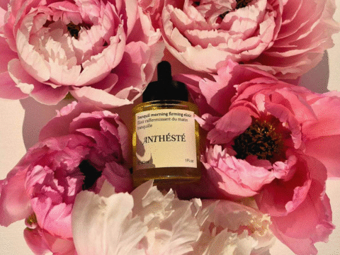 ANTHÉSTÉ : La beauté ancestrale grecque au service de la cosmétique - The Beauty Analyst