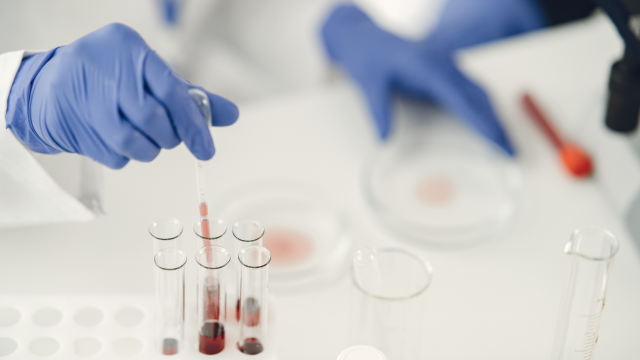 IFF et BASF s'unissent pour développer des solutions enzymatiques et polymères innovantes - The Beauty Analyst