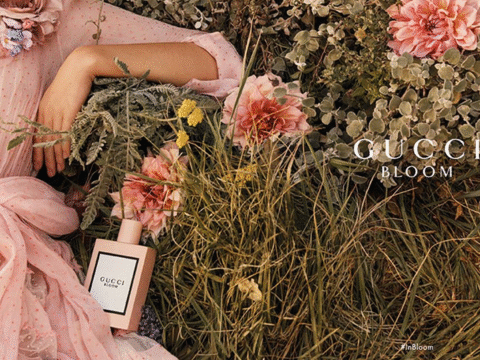 Une filiale de Coty attaque Kering et Gucci en justice après l’accord conclu avec L’Oréal - The Beauty Analyst