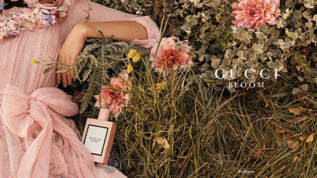 Une filiale de Coty attaque Kering et Gucci en justice après l’accord conclu avec L’Oréal - The Beauty Analyst