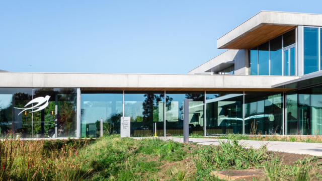 Lesaffre investit le marché des ingrédients cosmétiques fermentés - The Beauty Analyst