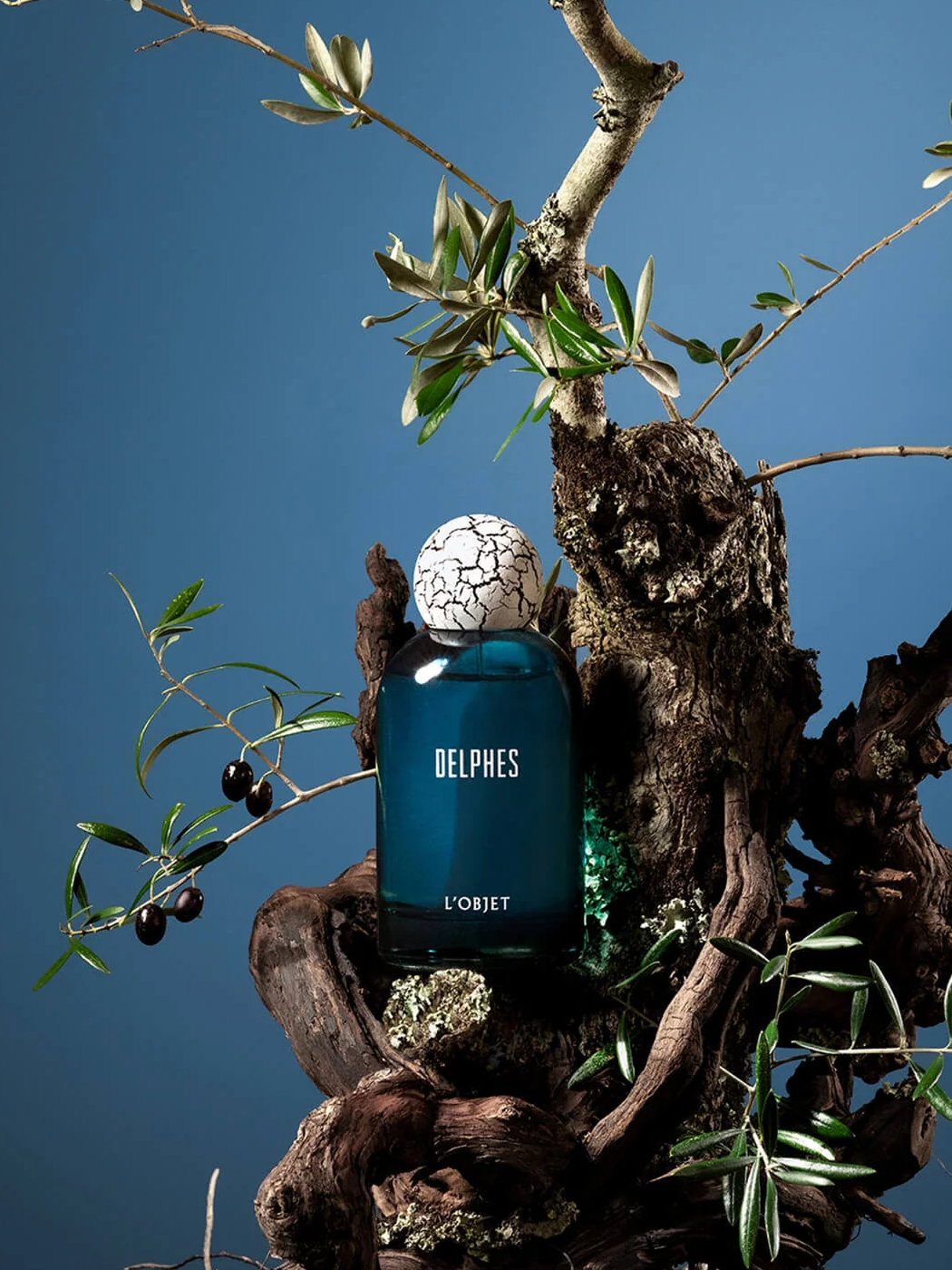 Les lancements beauté de mars 2026 - The Beauty Analyst