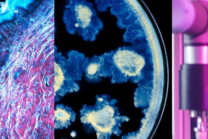 Partenariat entre l'Oréal et l'Institut Pasteur