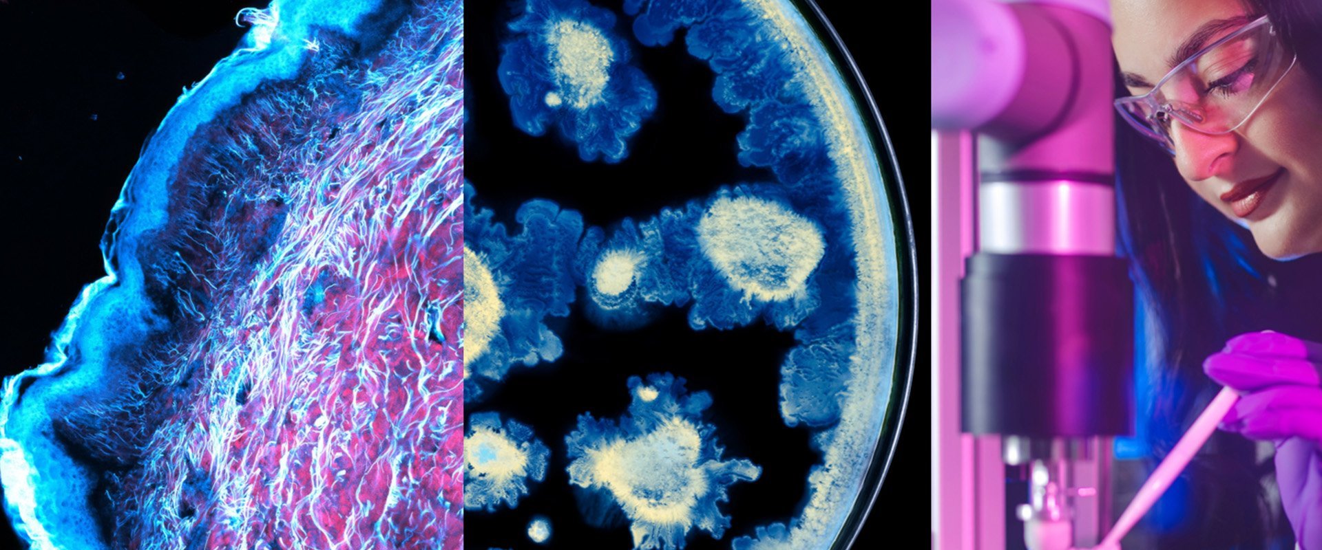 Partenariat entre l'Oréal et l'Institut Pasteur