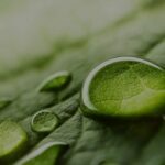 Seqens lance PeptiCode™ HP-9