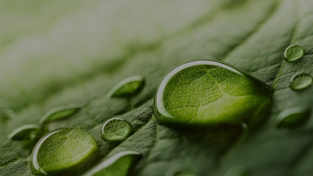 Seqens lance PeptiCode™ HP-9